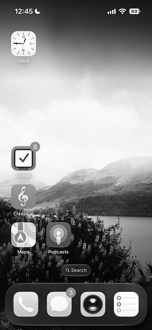 iPhone home screen in grayscale